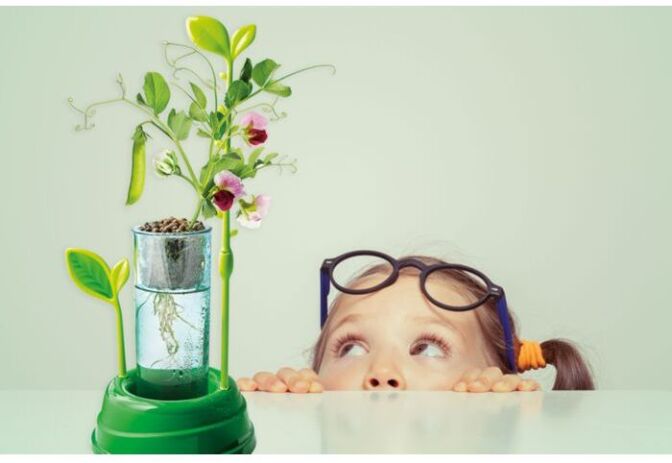 Μαθαίνω & Δημιουργώ Ο Κήπος Μου (1026-63408) (5)