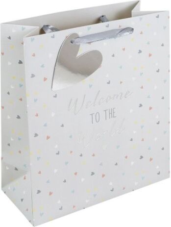 Eurowrap Χάρτινη Τσάντα Welcome To The World Medium (35407-3C) (0)