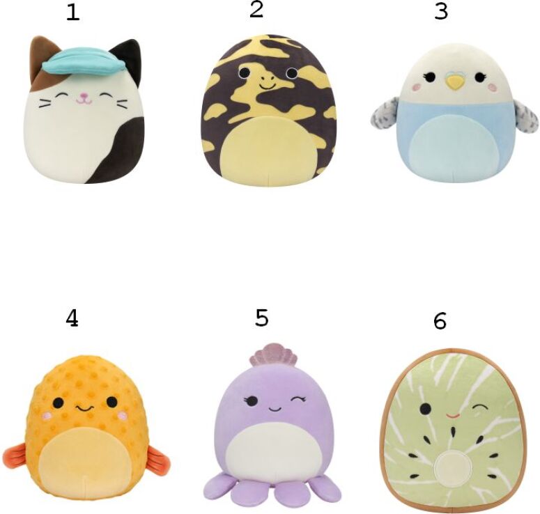 Squishmallows W1B 19cm-6 Σχέδια (JWSQ2741) (1)