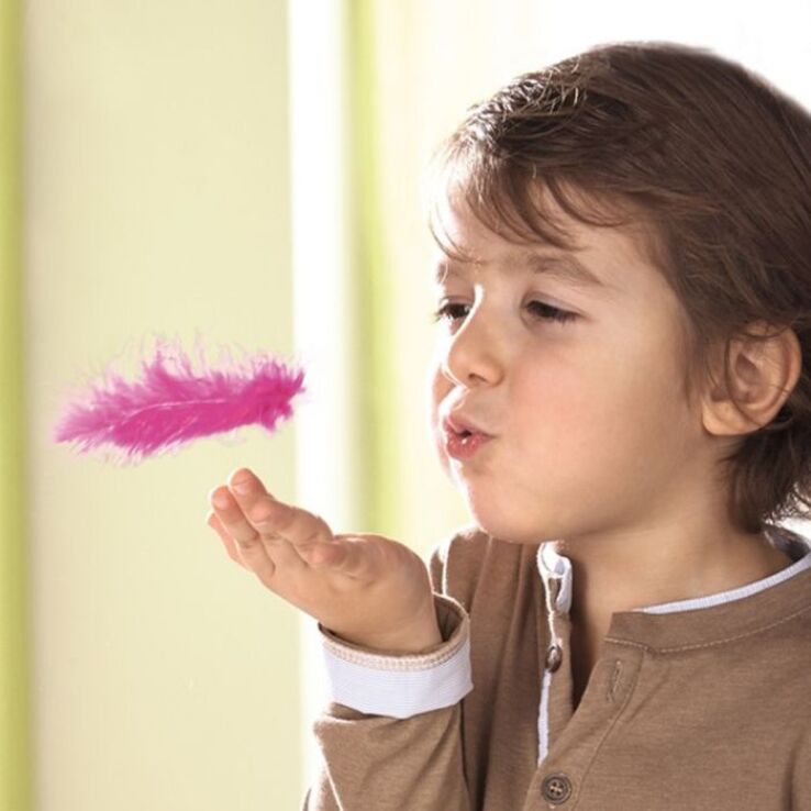 Haba Επιτραπέζιο Τα Μαγικά Φτερά (140-302216) (2)