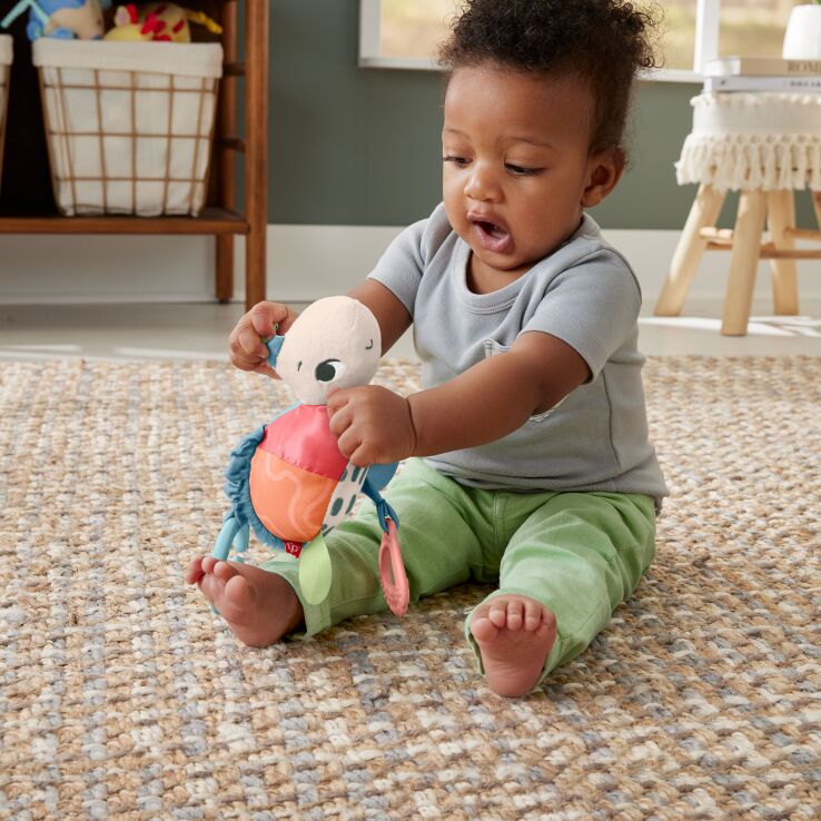 Fisher Price Χελωνάκι Καροτσιού (HKD62) (3)