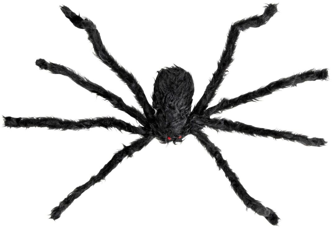 WM Αράχνη Giant 75cm (8263M) (1)
