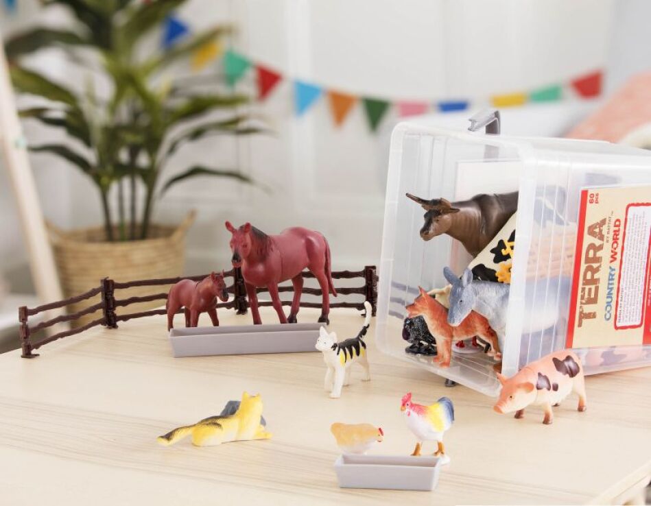 Terra Σετ Country World (AN2802Z) (2)