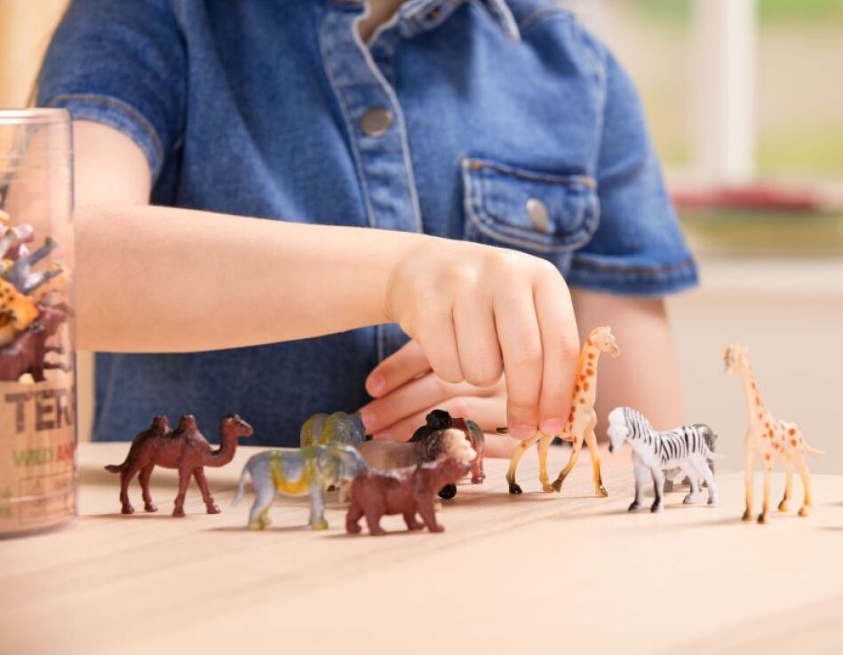 Terra Σετ Wild Animals (AN6004Z) (2)