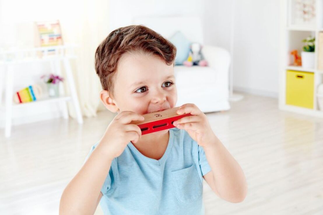 Hape Early Melodies Ξύλινο Blues Harmonica (E0616A) (1)
