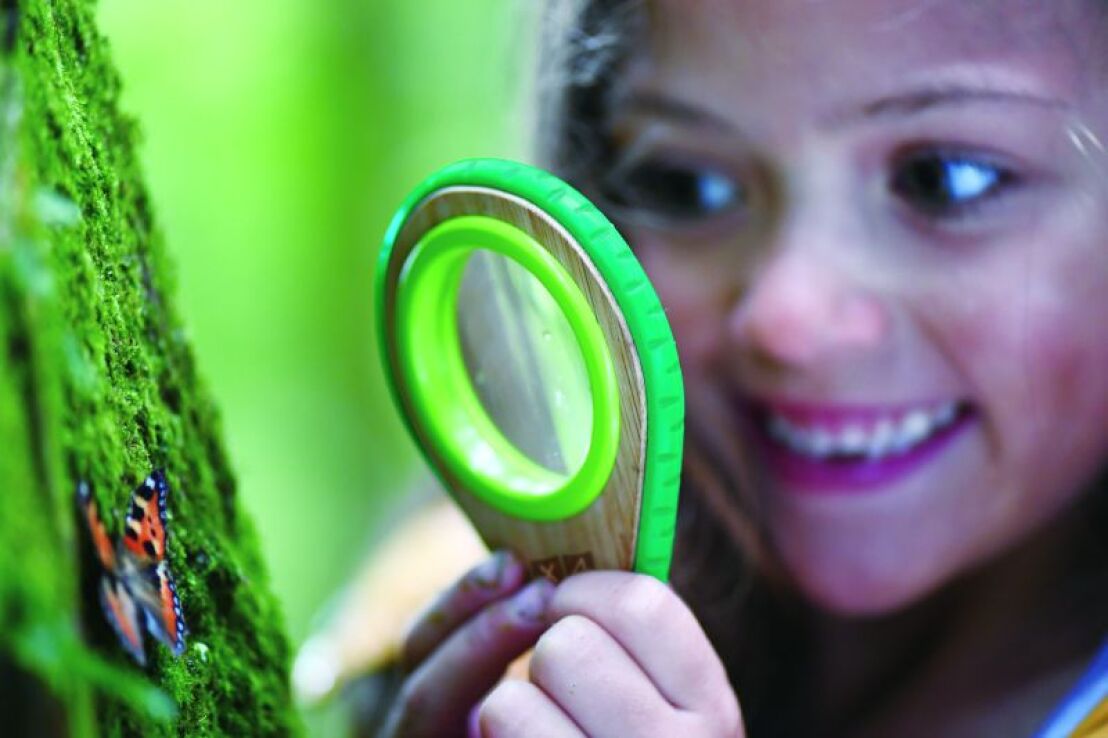 Hape Early Explorer Ξύλινο Nature Detective Set (E5570A) (3)