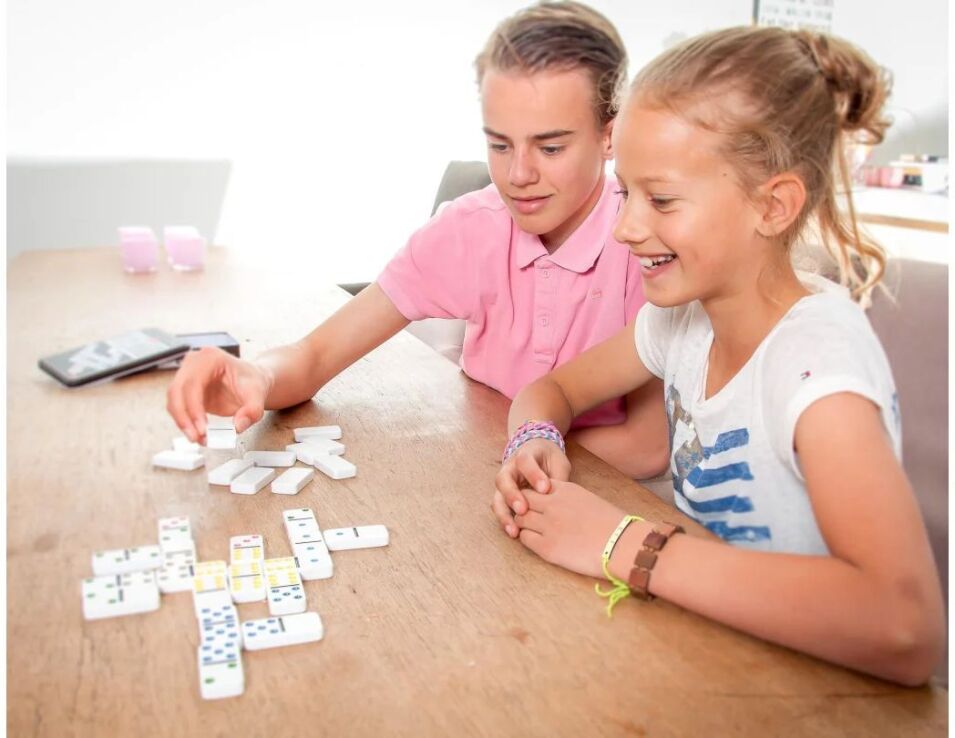 MAM Επιτραπέζιο Double 6 Dominoes (TG1915) (3)