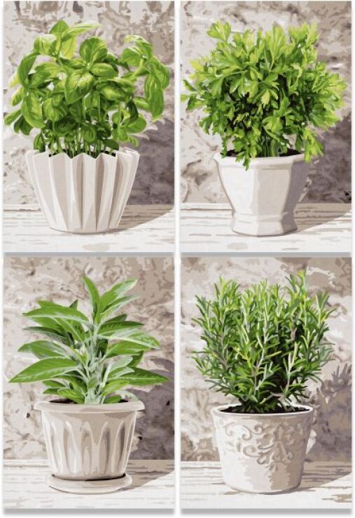 Noris Παζλ 800 Quattro Herbs (606038020) (1)