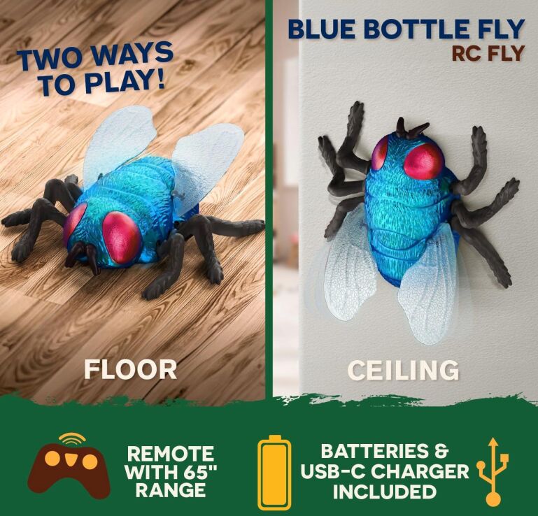 Terra Τηλεκατευθυνόμενο RC Blue Bottle Fly (AN2945Z) (3)