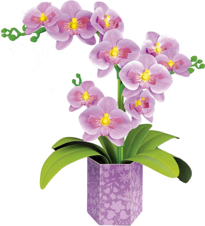 Educa Floral Art Orchid (20135) (1)