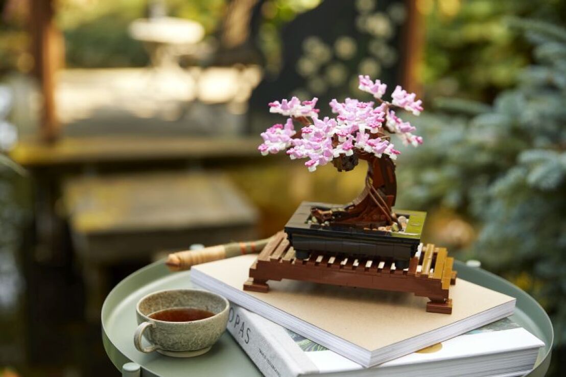 LEGO Icons Botanicals Bonsai Tree (10281) (3)