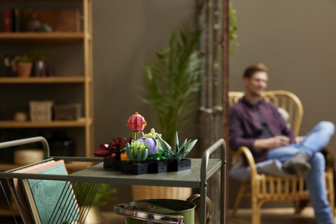 LEGO® Botanicals Succulents (10309) (10)