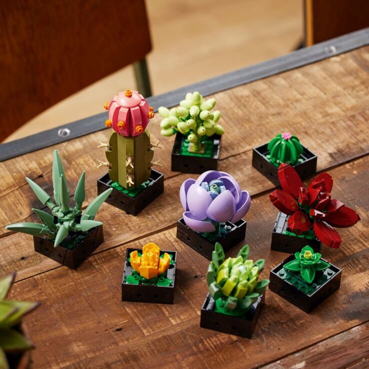 LEGO® Botanicals Succulents (10309) (3)