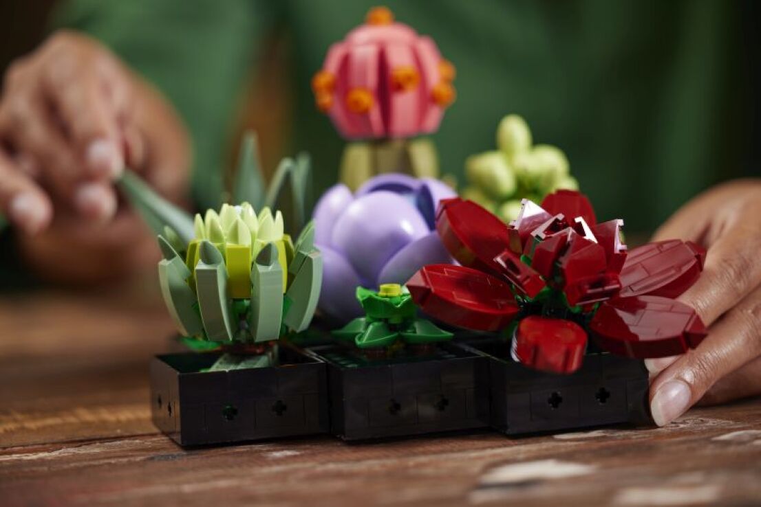 LEGO® Botanicals Succulents (10309) (6)