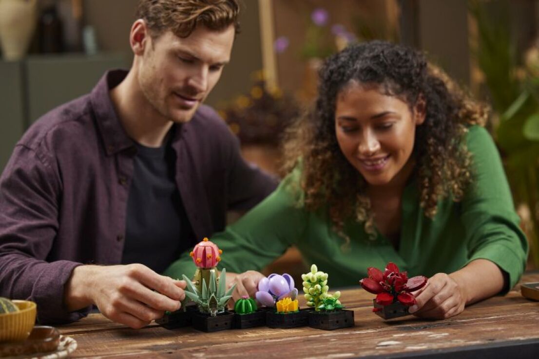 LEGO® Botanicals Succulents (10309) (9)