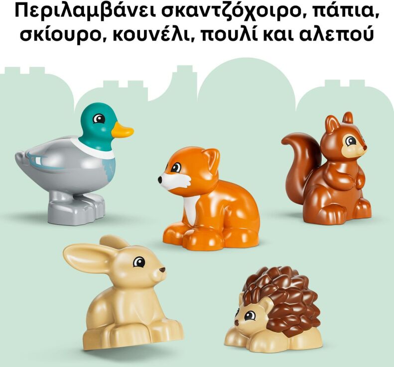 LEGO® DUPLO® Discovery Forest With Wild Animals (10480) (6)