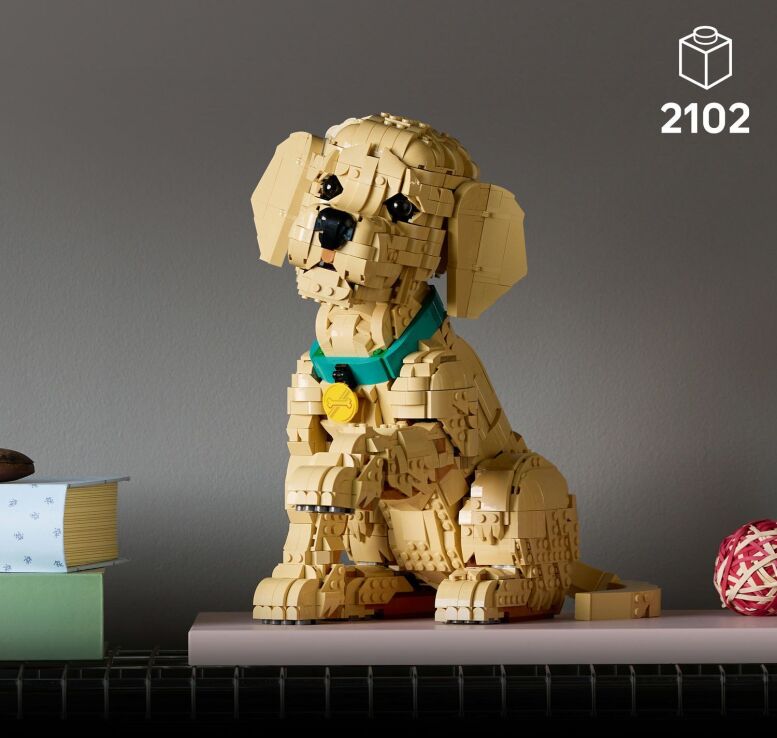 LEGO® Icons Golden Retriever Puppy (11384) (2)