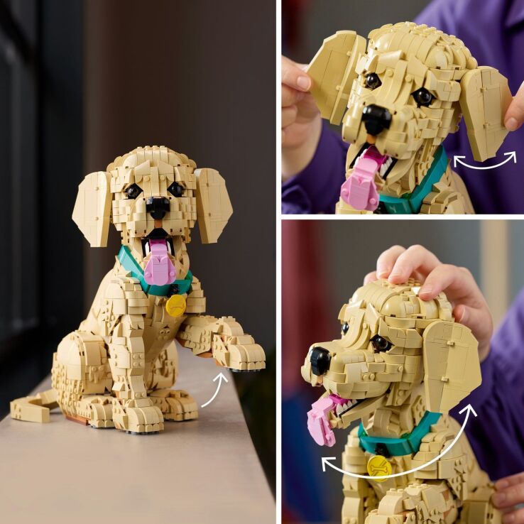 LEGO® Icons Golden Retriever Puppy (11384) (4)