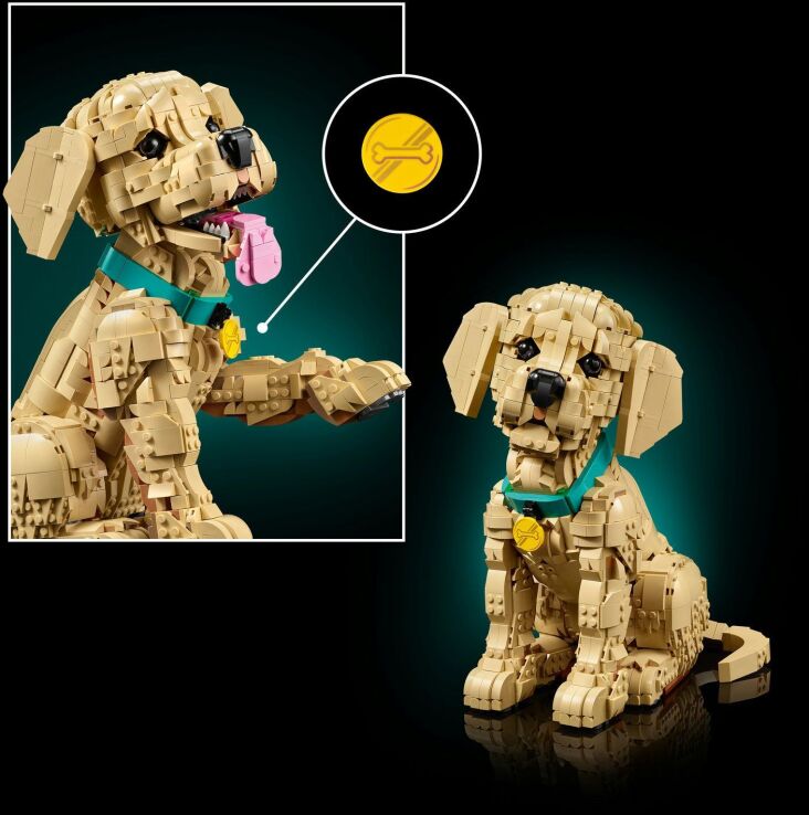 LEGO® Icons Golden Retriever Puppy (11384) (6)