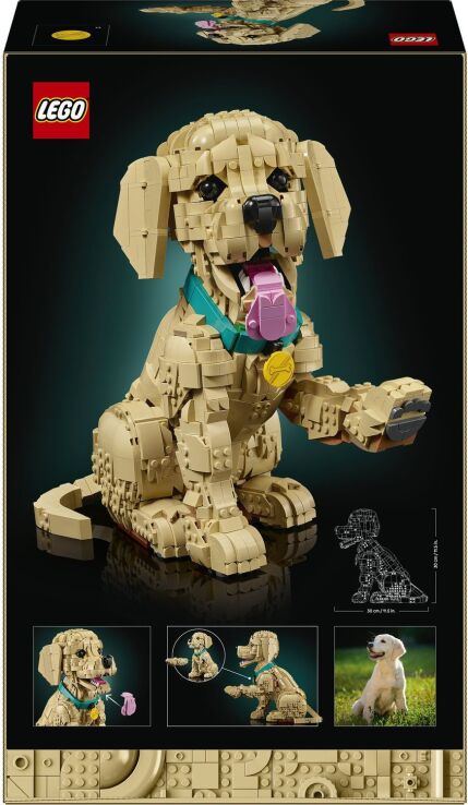 LEGO® Icons Golden Retriever Puppy (11384) (8)