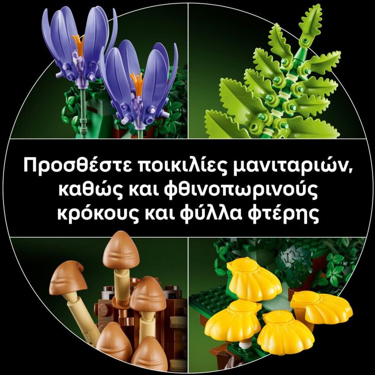 LEGO® Botanicals Woodland Mushrooms (11505) (5)