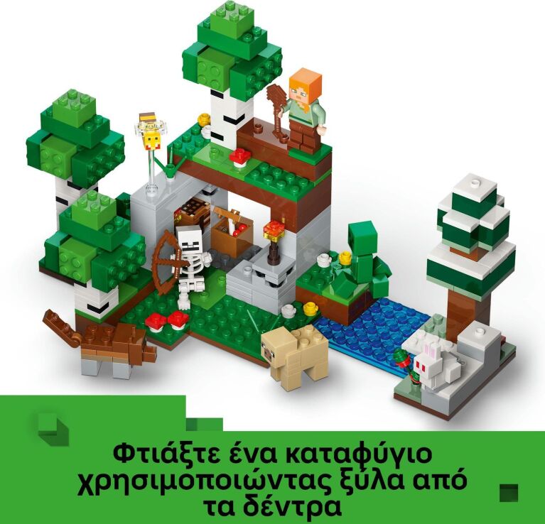 LEGO® Minecraft First Night Adventure (21593) (3)