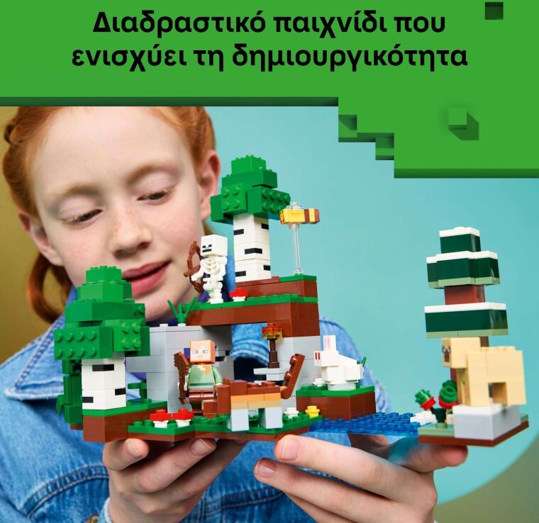 LEGO® Minecraft First Night Adventure (21593) (4)