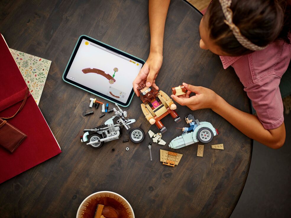 LEGO Harry Potter Hagrid & Harry's Motorcycle Ride (76443) (4)