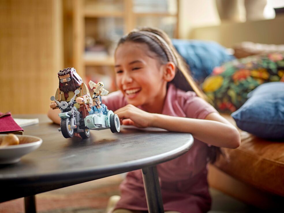 LEGO Harry Potter Hagrid & Harry's Motorcycle Ride (76443) (6)