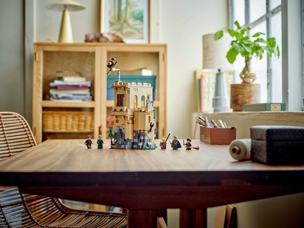 LEGO Harry Potter Hogwarts Castle: Flying Lessons (76447) (11)