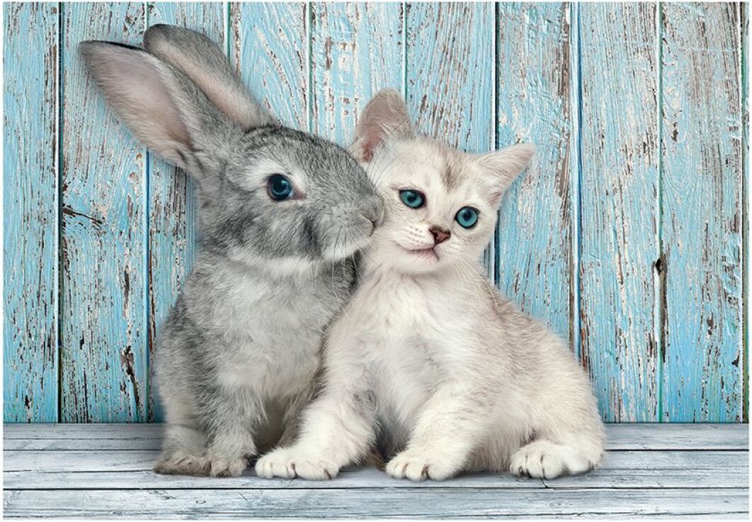 Clementoni Παζλ 500 H.Q. Cat & Bunny (1220-35539) (1)