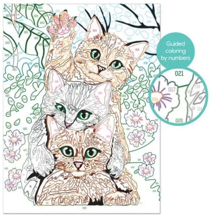 Paint & Frame Funny Kitties (1038-41010) (2)