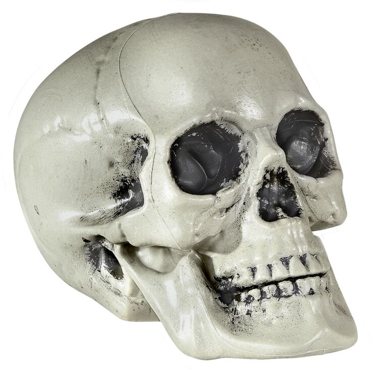 WM Νεκροκεφαλή PVC 21cm (01379) (0)