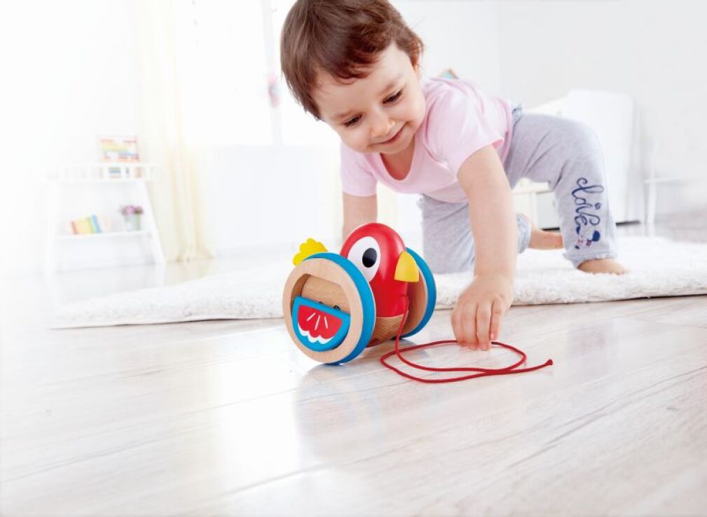 Hape Push & Pull Ξύλινο Συρόμενο Πουλάκι (E0360) (2)