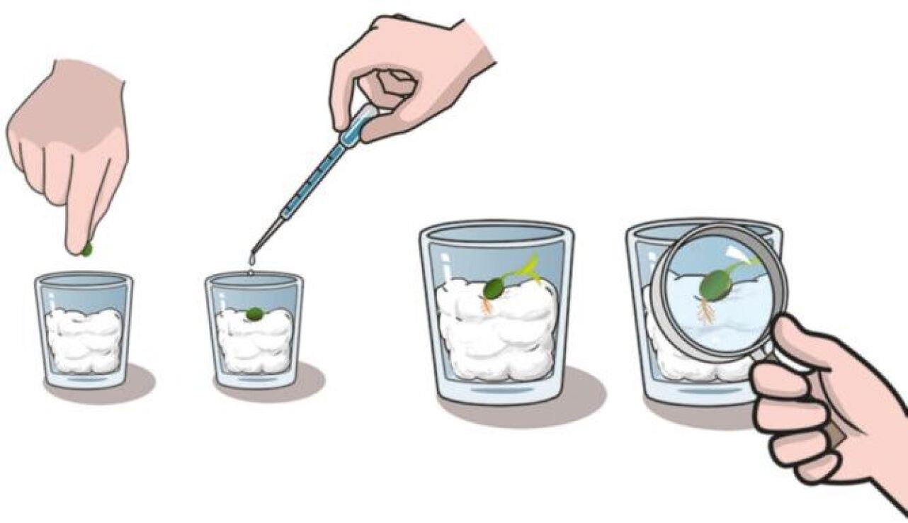 Μαθαίνω & Δημιουργώ Ο Κήπος Μου (1026-63408) (2)