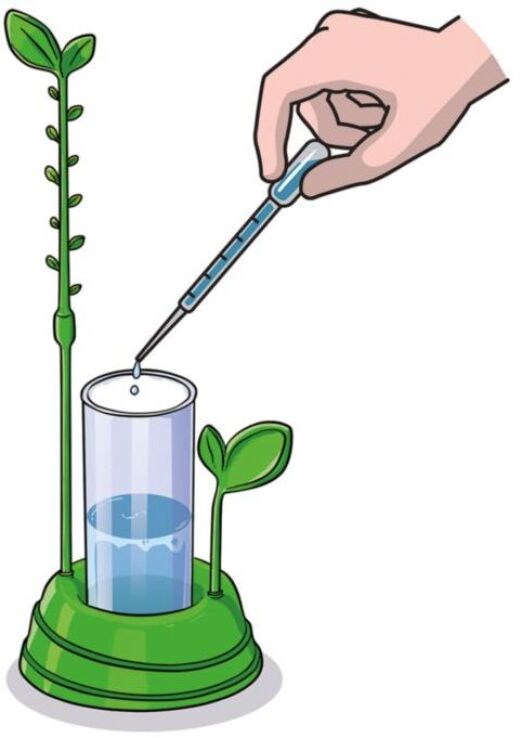 Μαθαίνω & Δημιουργώ Ο Κήπος Μου (1026-63408) (3)