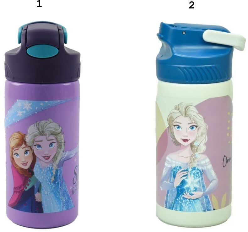 Gim Παγούρι Stainless Steel Frozen 500ml-2 Σχέδια (551-47245) (1)