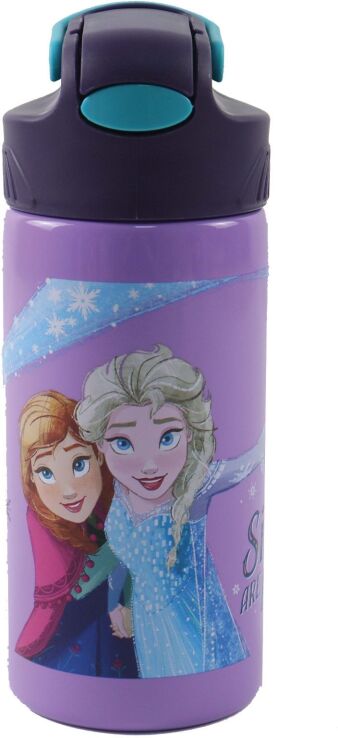 Gim Παγούρι Stainless Steel Frozen 500ml-2 Σχέδια (551-47245) (0)
