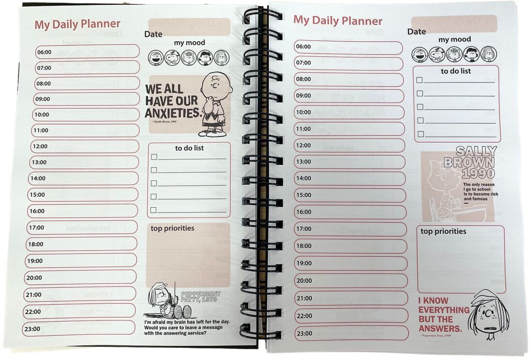 Peanuts Ημερολόγιο-Planner (365-10907) (5)