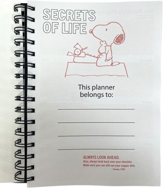 Peanuts Ημερολόγιο-Planner (365-10907) (6)