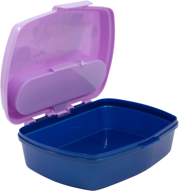 Stor Δοχείο Φαγητού Με Μαχαιροπήρουνο Frozen (530-74209) (1)