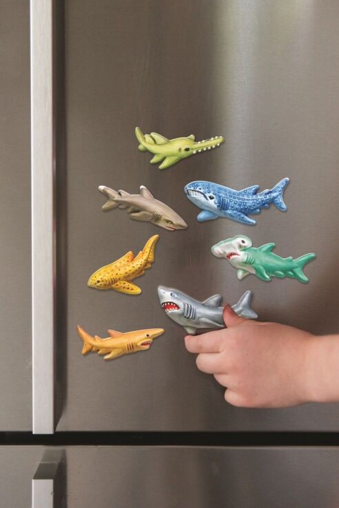 4M Καρχαρίες Μαγνητάκια/Καρφίτσα-Κατασκευή (4M0604) (3)