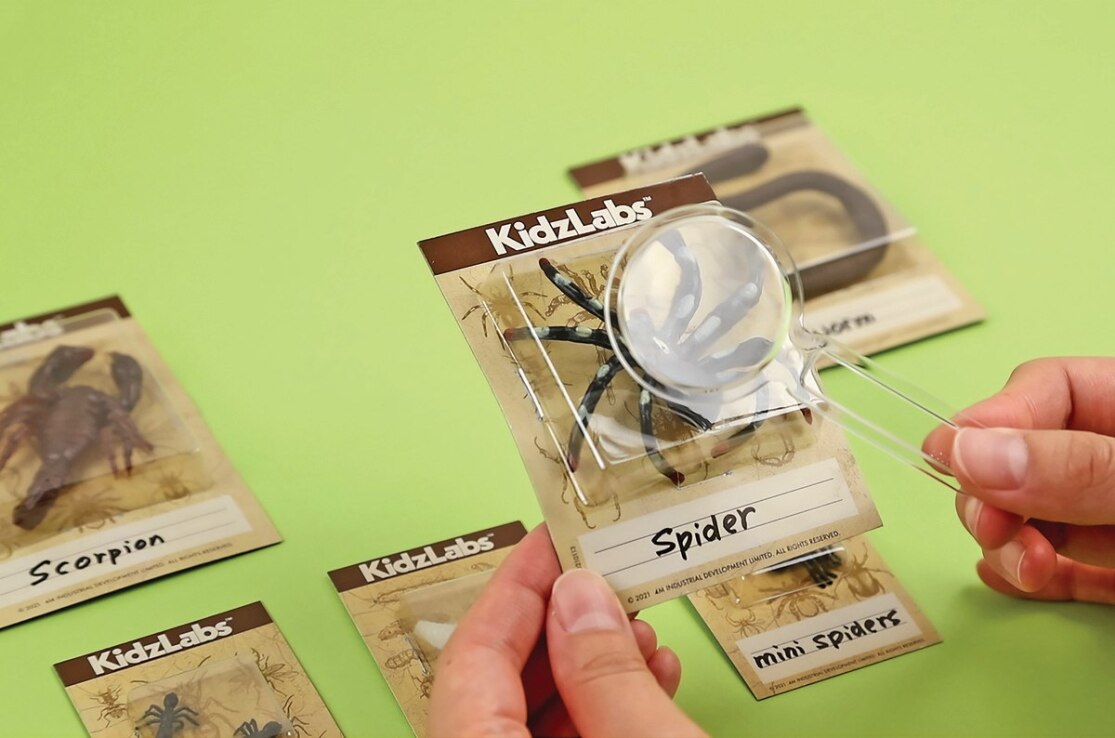 4M Εργαστήριο Ανασκαφής Φωσφορούχων Ζωυφίων (4M0648) (3)