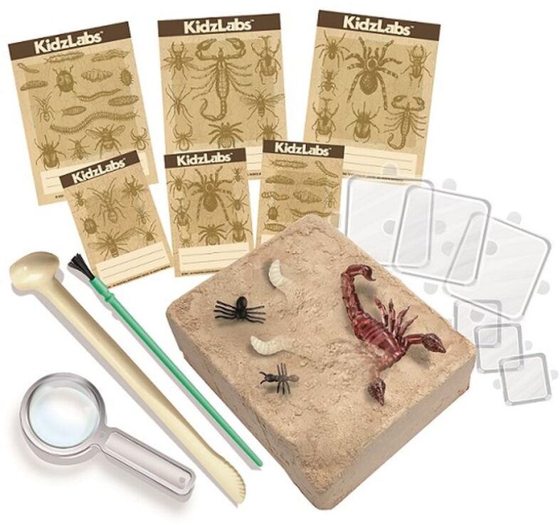 4M Ανασκαφή Ζωύφια Του Πλανήτη Μας (4M0573-03397) (1)