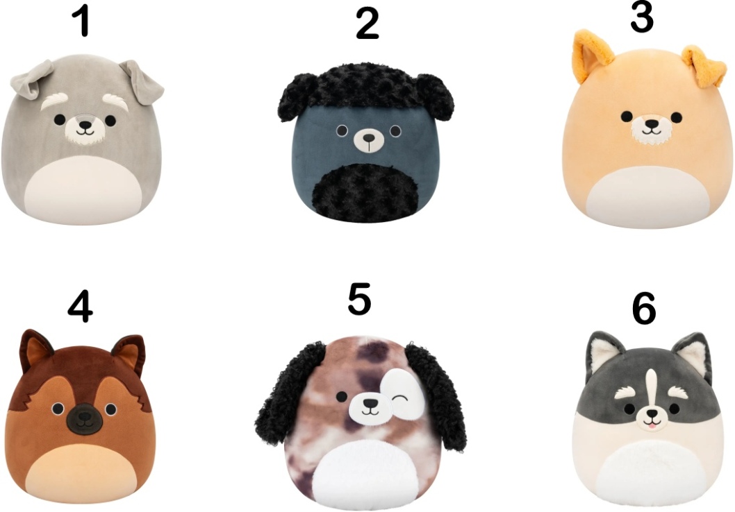 Squishmallows Σκυλάκια 30cm-6 Σχέδια (JWSQ7955) (1)