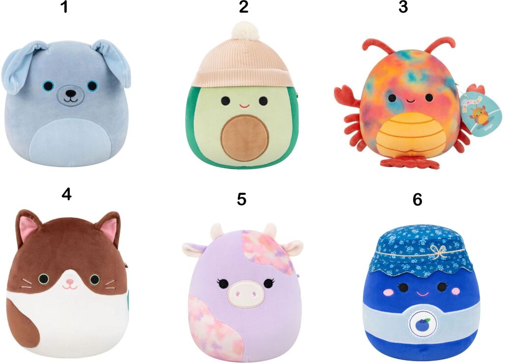 Squishmallows W10 19cm-6 Σχέδια (JWSQ4064-H) (1)