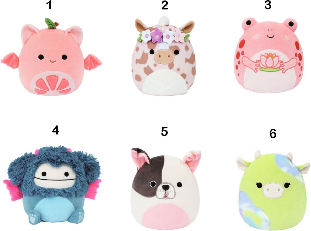 Squishmallows W14 19cm-6 Σχέδια (JWSQ4065-L) (1)