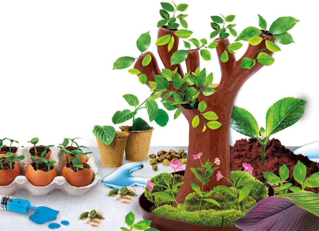 Επιτραπέζιο Βοτανική (09.97364) (1)