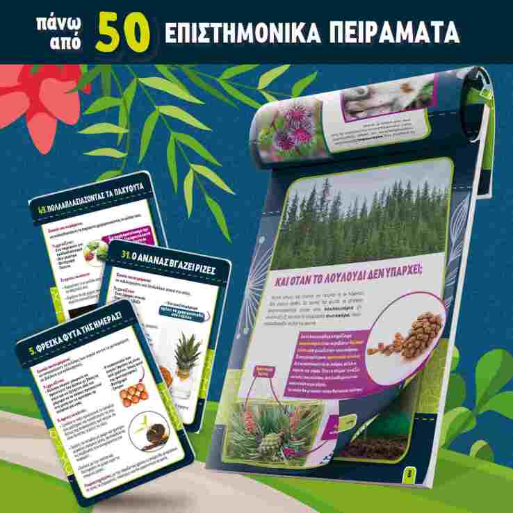 Επιτραπέζιο Βοτανική (09.97364) (2)