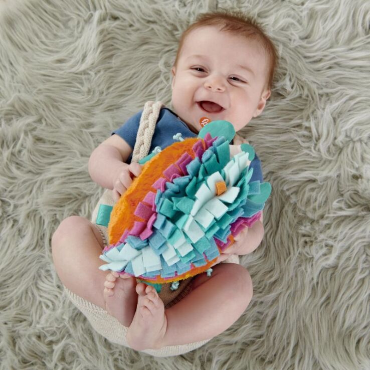 Fisher Price Μαλακό Σκαντζοχοιράκι-Ουράνιο Τόξο (HBP42) (4)